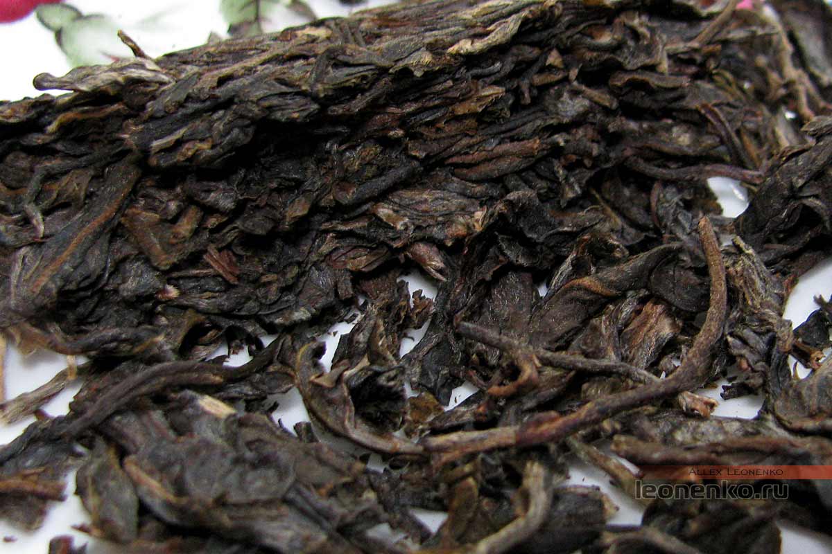 Шен Пуэр 9948 производства 2014 года от Haiwan Tea Factory - кусочек чая крупным планом