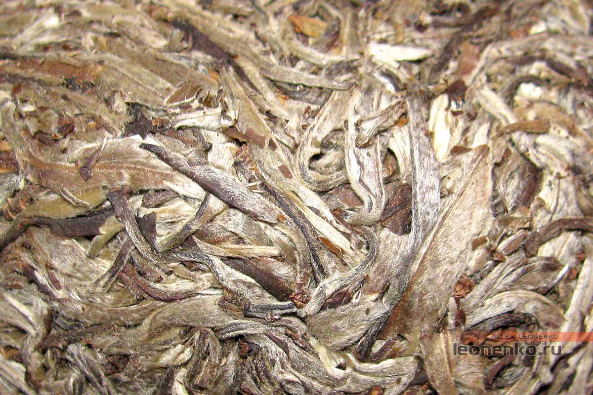 Шен Пуэр из белых почек от Hongde Tea Co в прессовке «Львиная голова» - внешний вид чая крупно