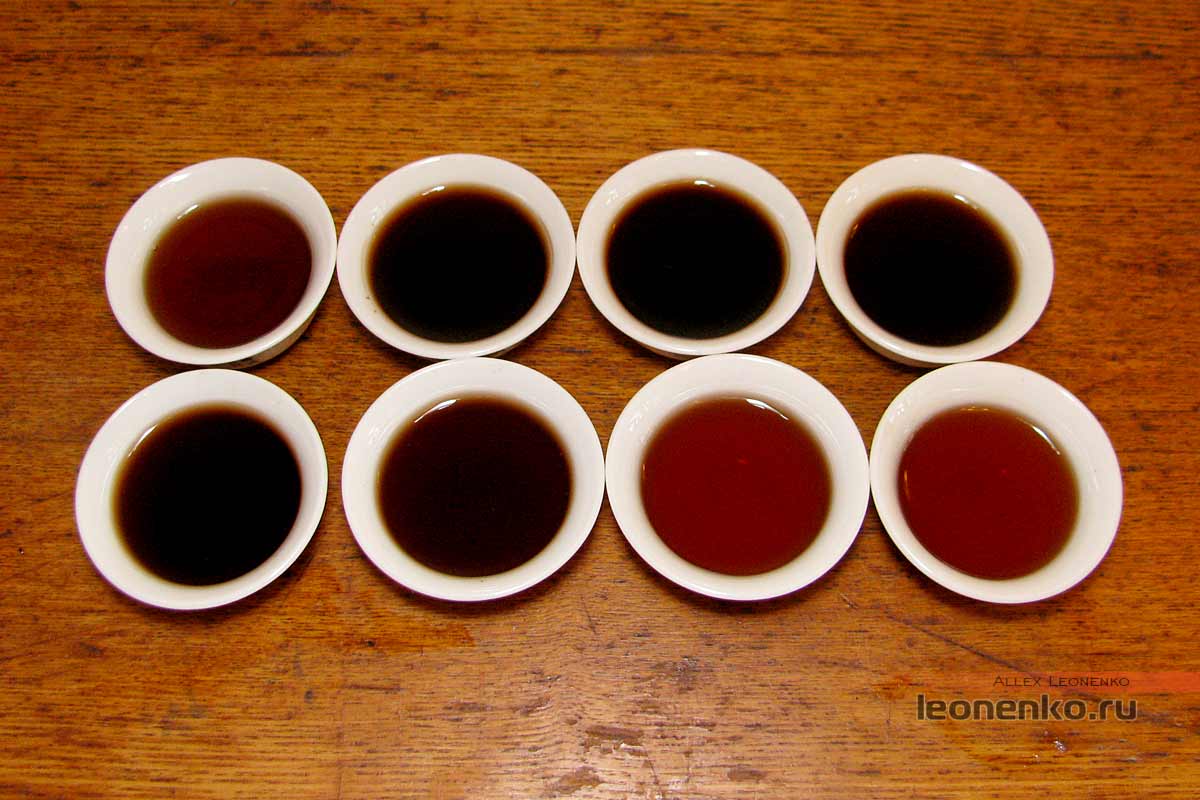Туо-Близнецы от Ботаника - Шу пуэр Цзинь Ча приготовленный чай
