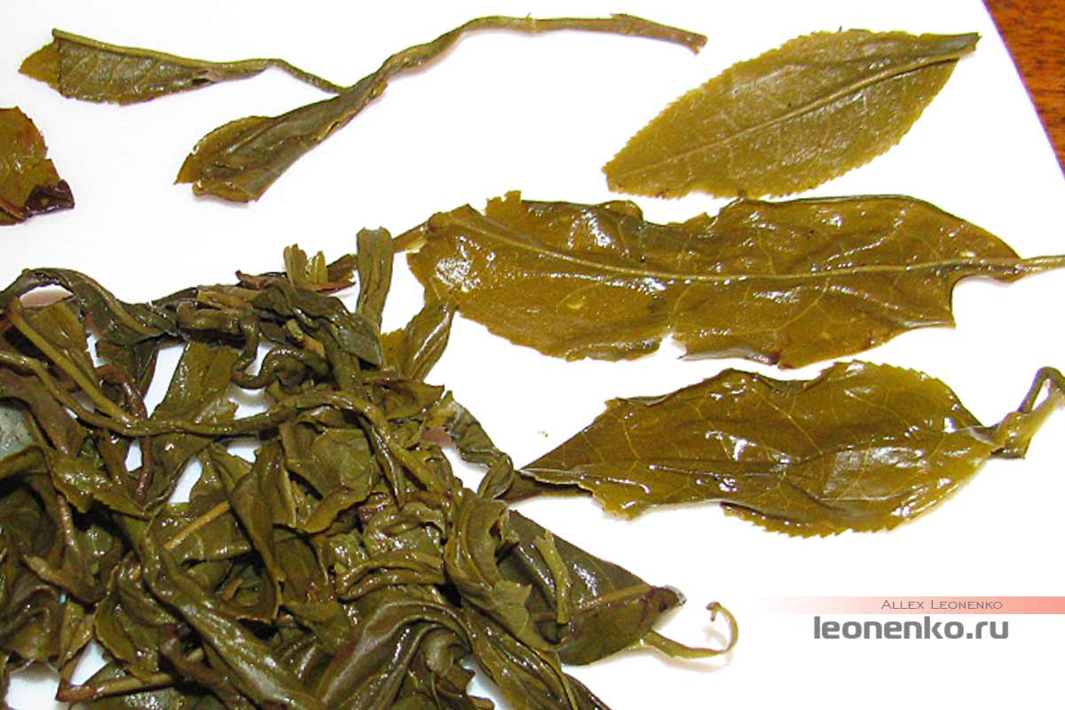 Скрученный зеленый чай с жасминовым ароматом - спитой лист крупным планом