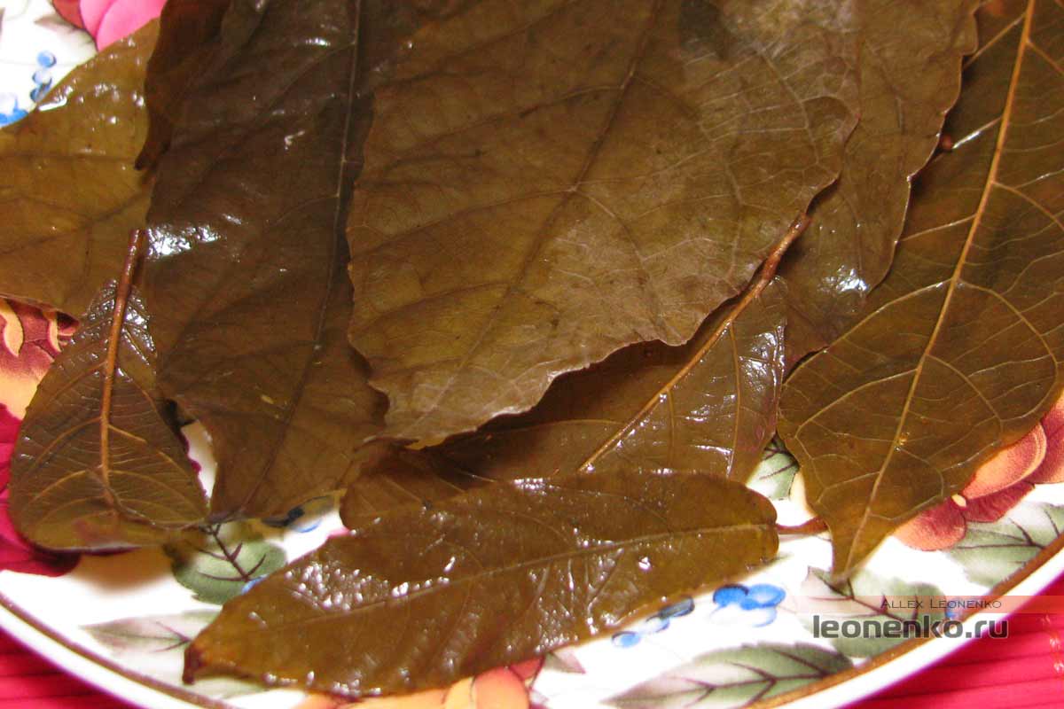Чжэ Гу – дикий хайнаньский чай - спитой лист крупно