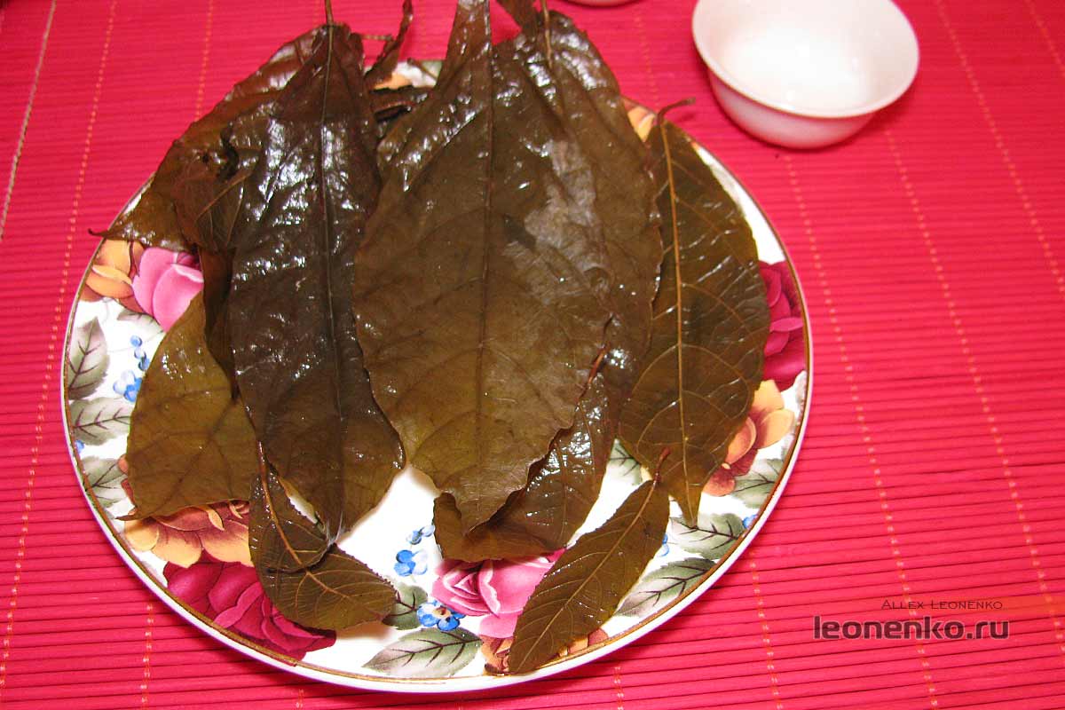 Чжэ Гу – дикий хайнаньский чай - спитой лист