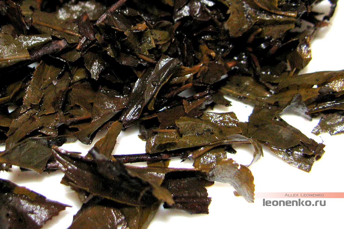 Тысячеляновый черный чай Хей Ча 2013 года - спитой лист крупным планом